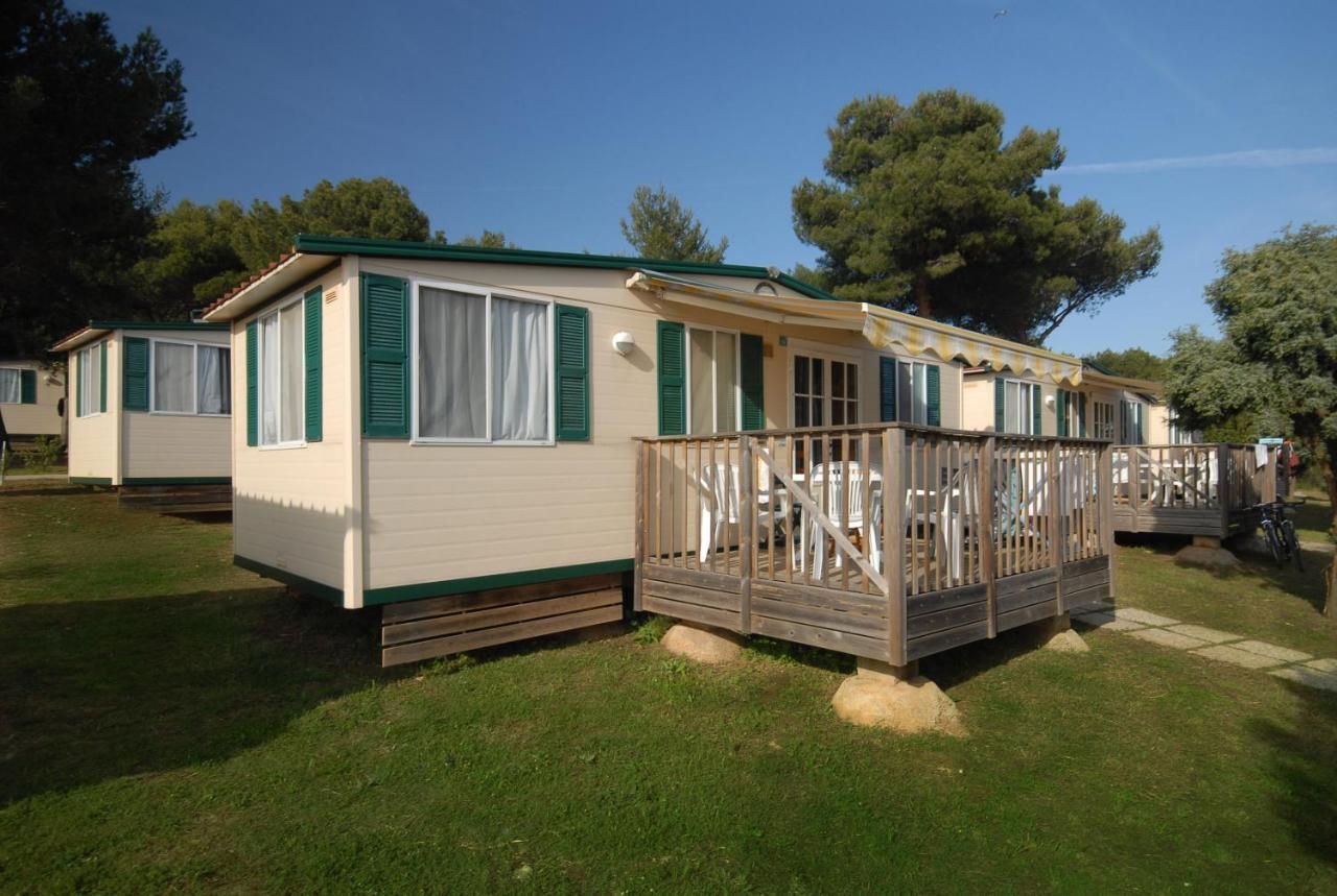 Arena Indije Mobile Homes Банджоле Номер фото